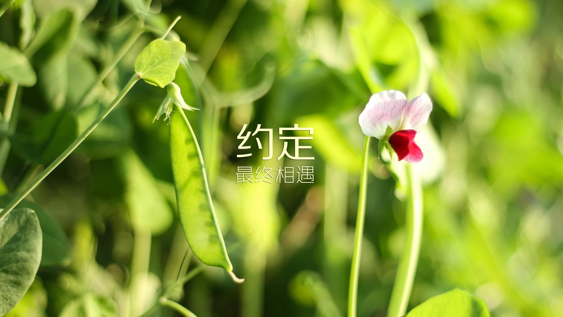 人工智能谁最棒（人工智能里面谁最聪明）