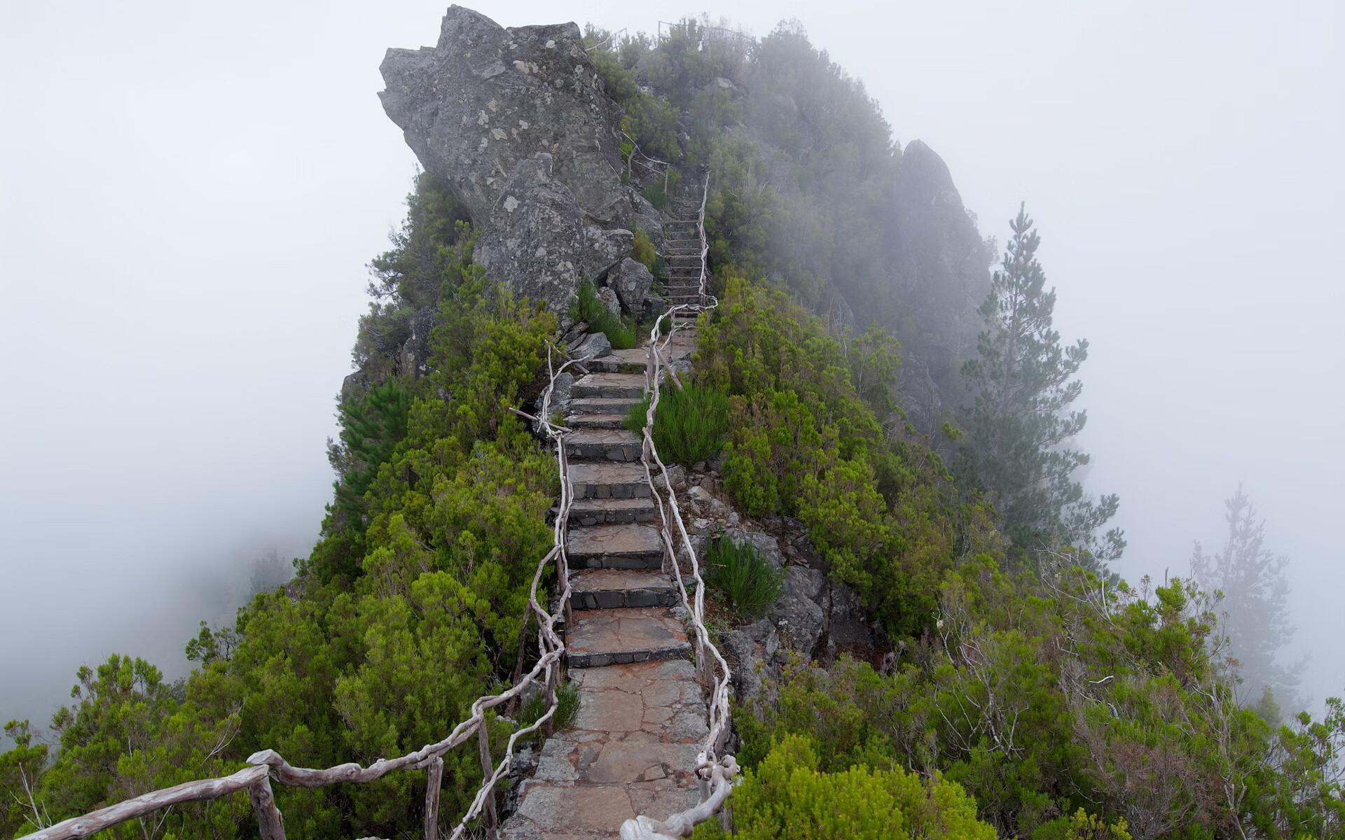 人工智能专业可以做什么（人工智能专业学什么就业前景）